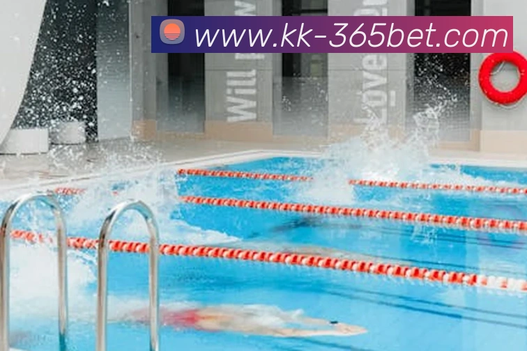 多媒体互动体验